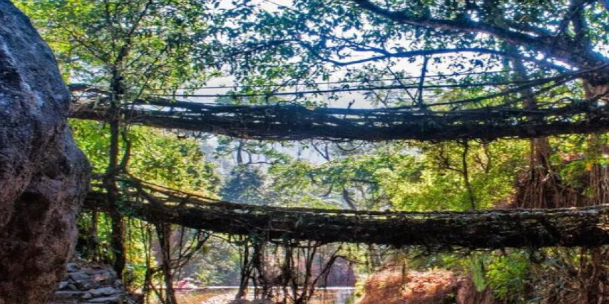 Guwahati to Cherrapunji Taxi
