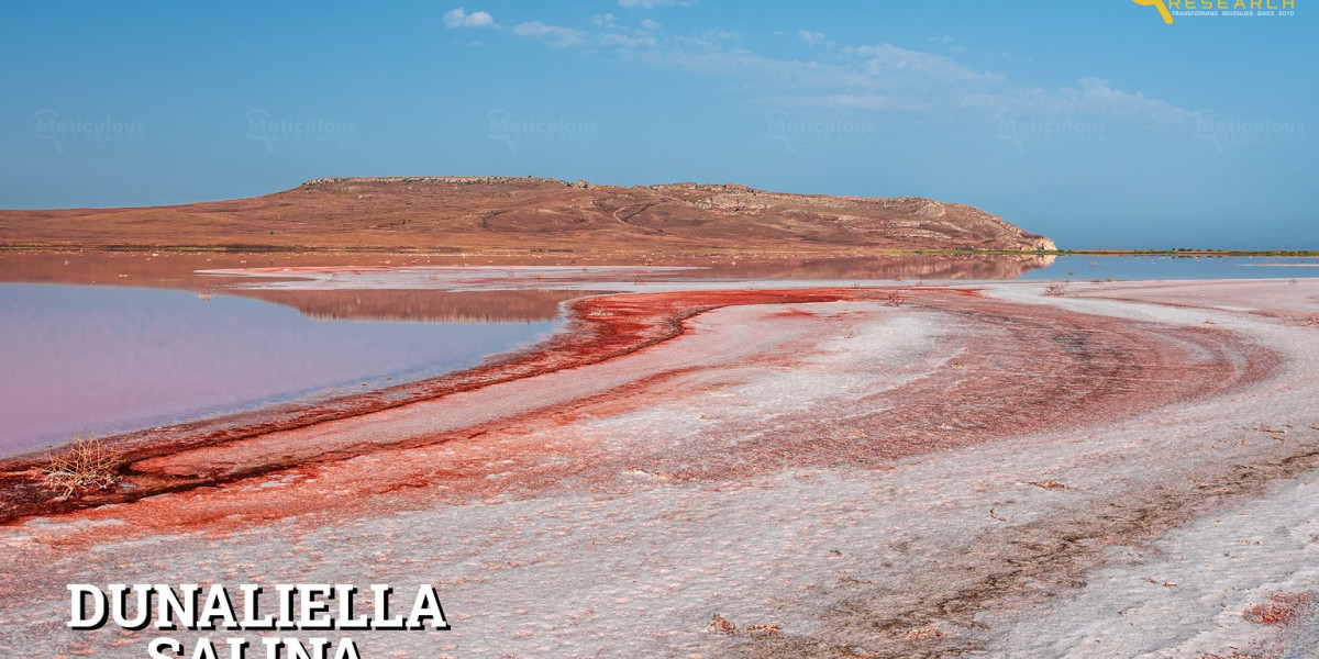 From $50.86 Million in 2023 to $69.6 Million in 2031: Dunaliella Salina Market Growth Outlook