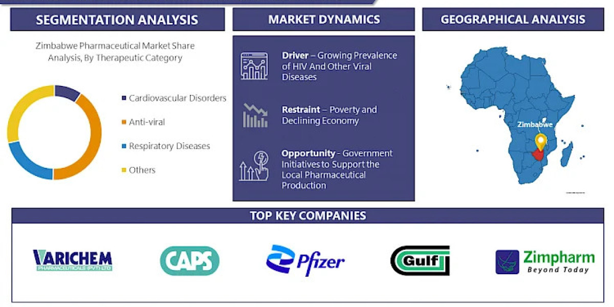 Zimbabwe's Healthcare & Pharma: Key Market Drivers Explored