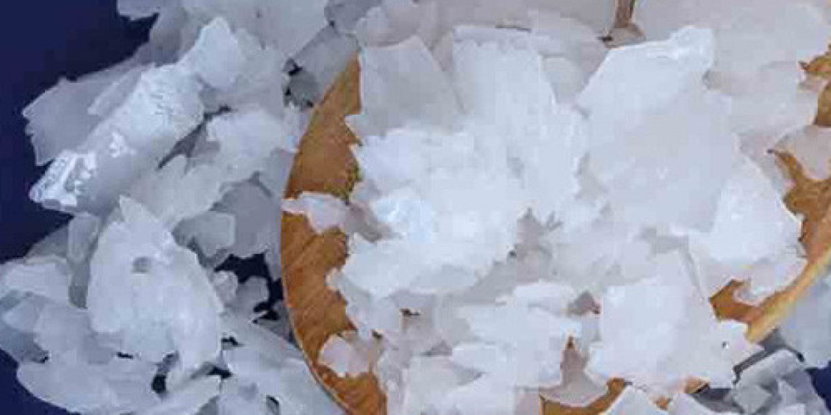 Magnesium Chloride Market Trends Highlight Increased Use in Construction and Industrial Sectors