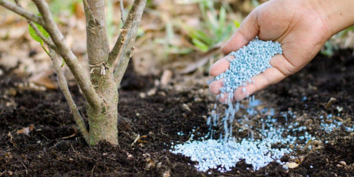When is the best time to fertilize trees?