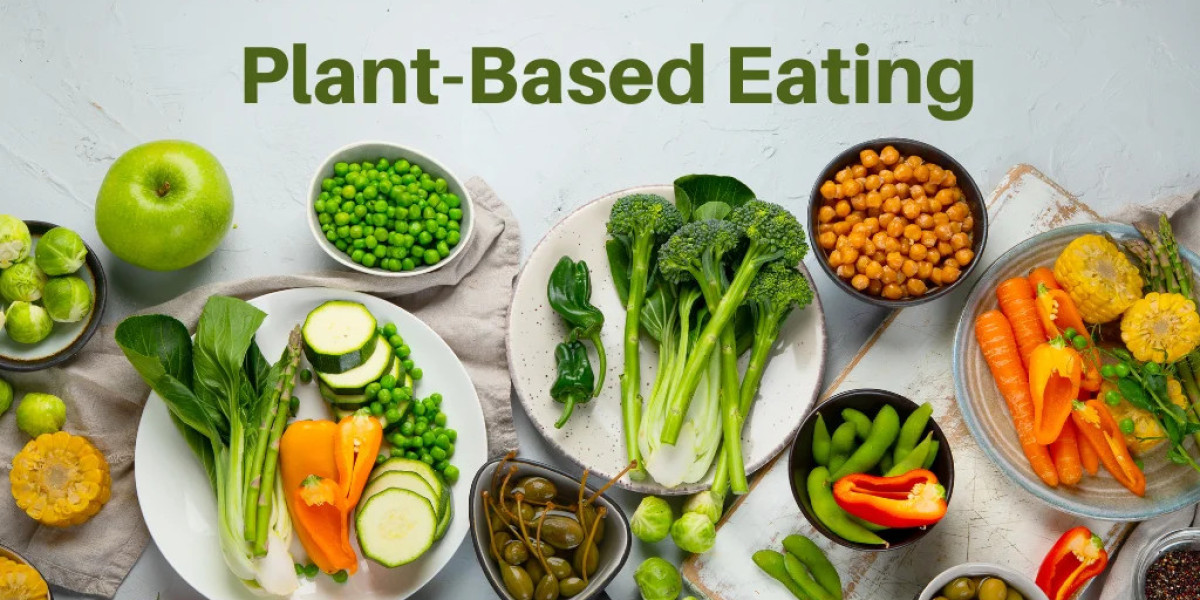 Plant Based Food Market Size, Industry Analysis Report 2023-2032 Globally