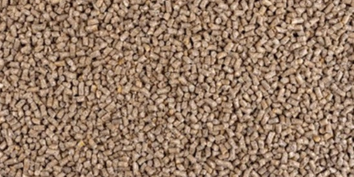 CD BioSciences Launches Eco-Friendly Bioenvironmental Microbial Products to Promote Sustainable Solutions