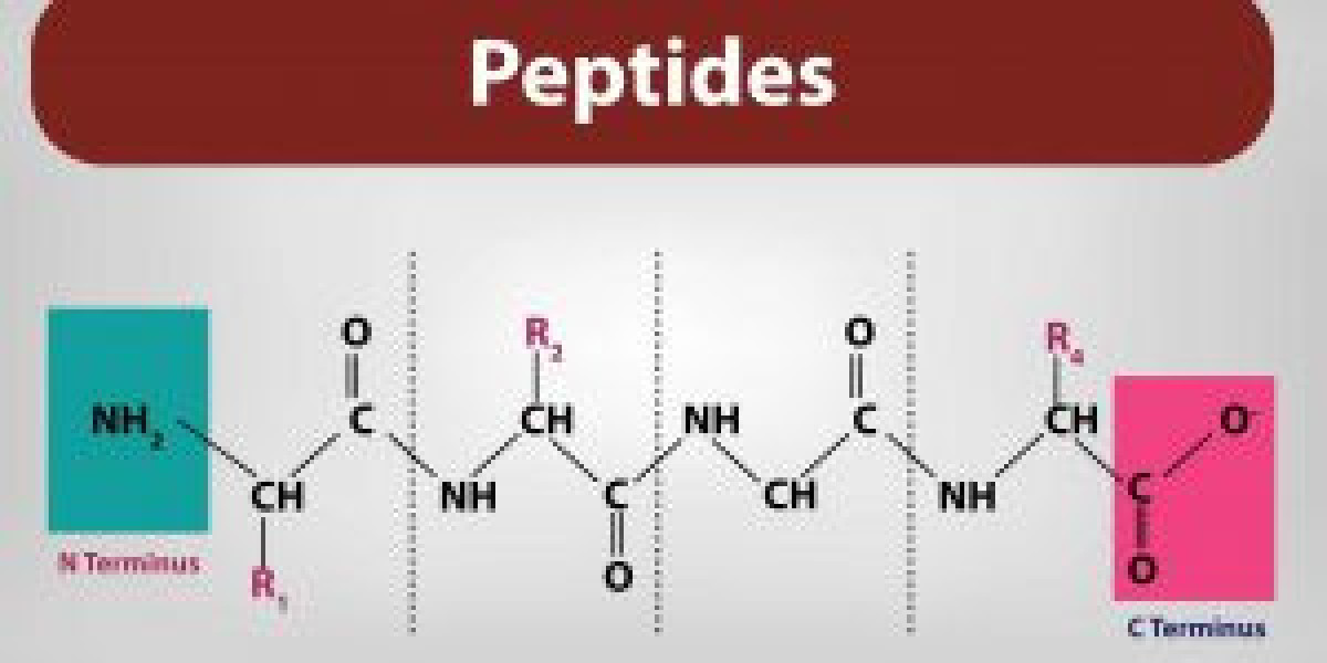 Everything You Need To Know About Custom Peptide Synthesis