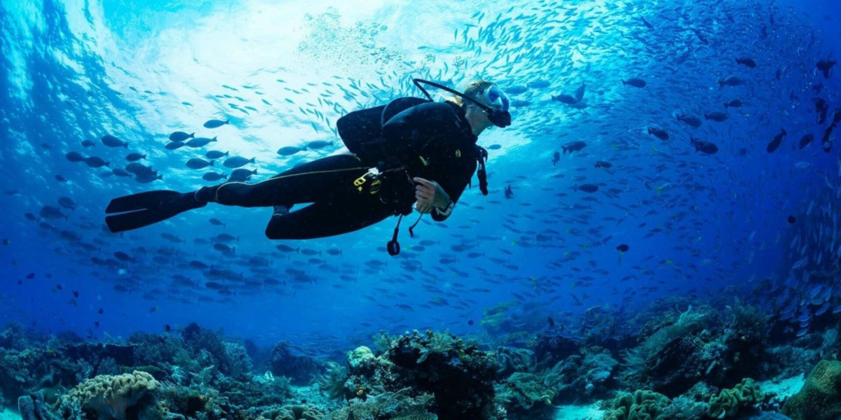 Scuba Diving Tourism Market Analysis, Size, Share, Growth, Trends, and Forecasts by 2031