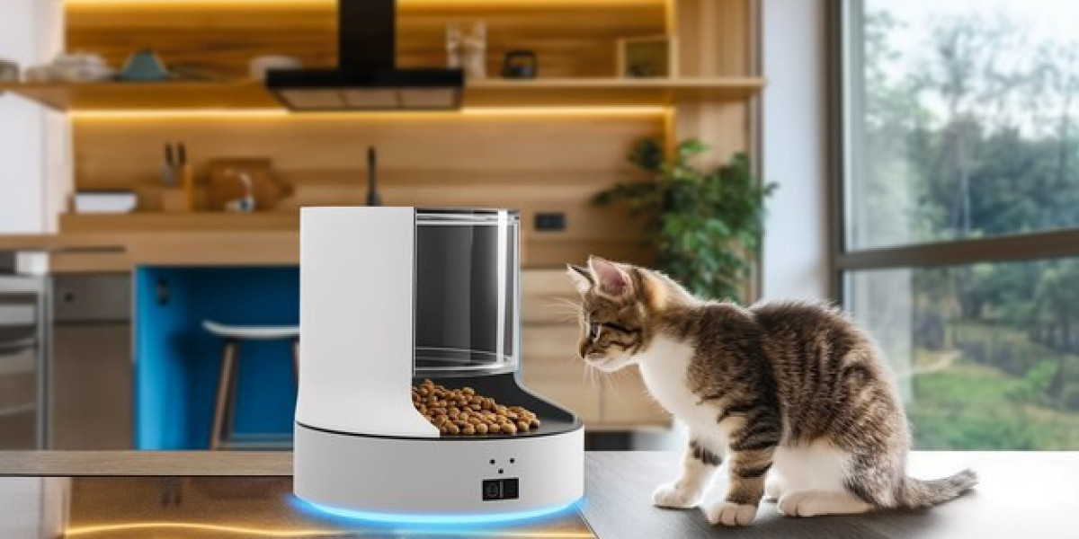 Convenience Meets Feline Comfort: Automatic Cat Feeders