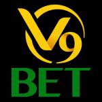 V9bet casino Profile Picture