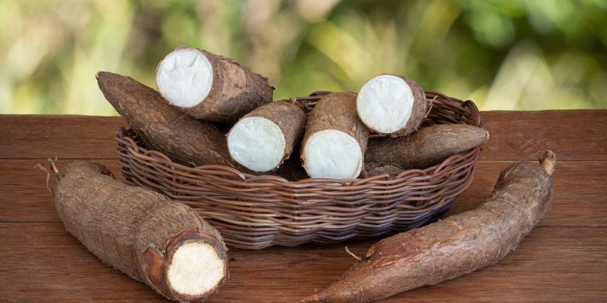 Cassava Processing Plant 2024: Detailed Project Report, Raw Materials Cost and Unit Setup