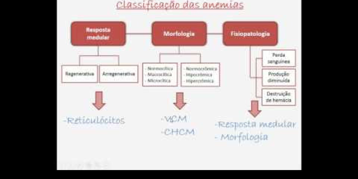 Avaliação de Cortisol em Cães: Entenda a Importância e os Momentos Certos para o Exame