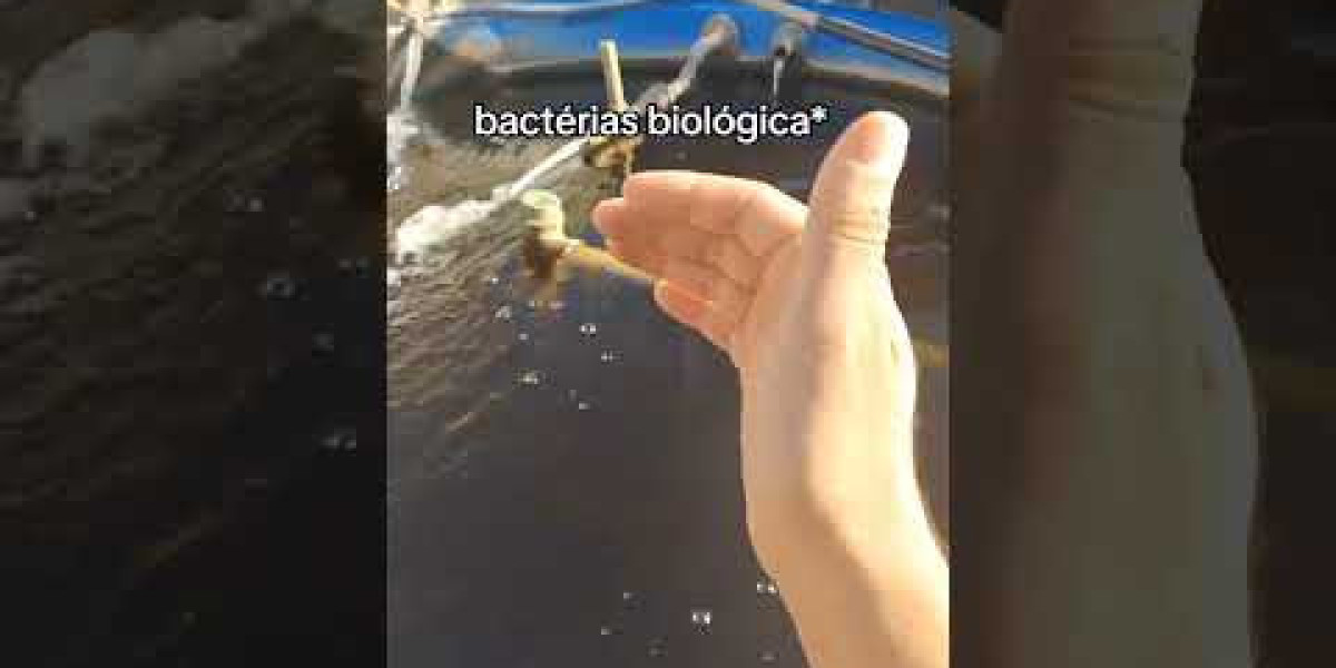 The Shape of Water Towers: An Engineering Municipal Sewer and Water