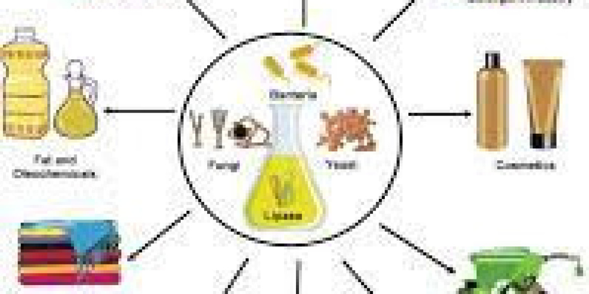 Microbial Lipase Market Growth, Trends, and Forecast (2024-2032)