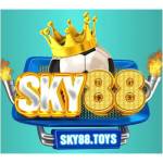 sky88toys1 Profile Picture