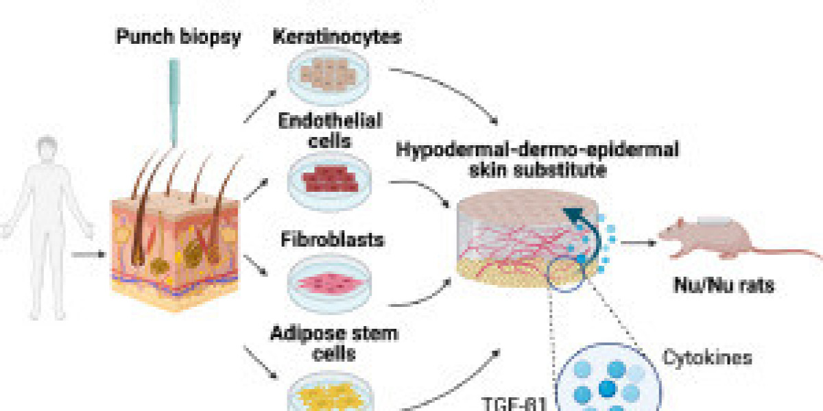 Biological Skin Substitutes Market Competitive Analysis, Growth, Development Factors 2031