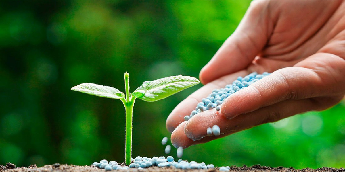 Sustainable Agriculture Revolution: Insect Fertilizers Market to Grow at 24.3% CAGR