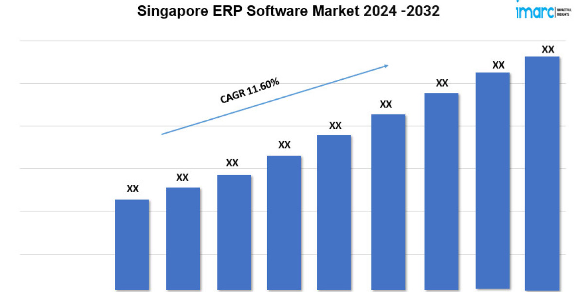 Singapore ERP Software Market Outlook, Demand and Forecast 2024-2032