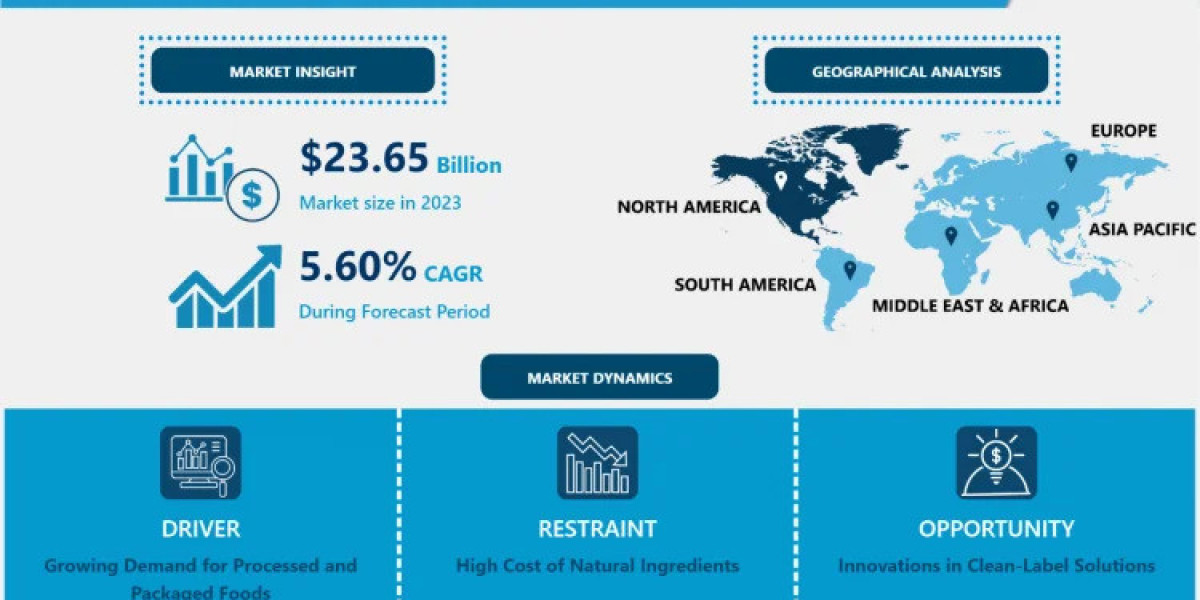 Food Texture Market to Reach $38.62 Billion by 2032: Insights and Forecasts (2024-2032)
