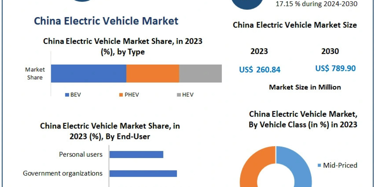China Electric Vehicle Market Dynamics and Competitive Landscape (2024-2030)