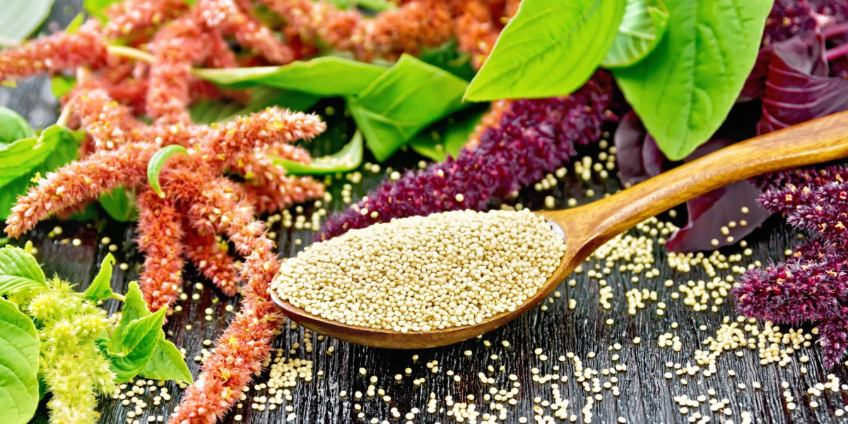 Amaranth Market Dynamics See Growth Amid Rising Popularity in Nutraceuticals and Dietary Supplements