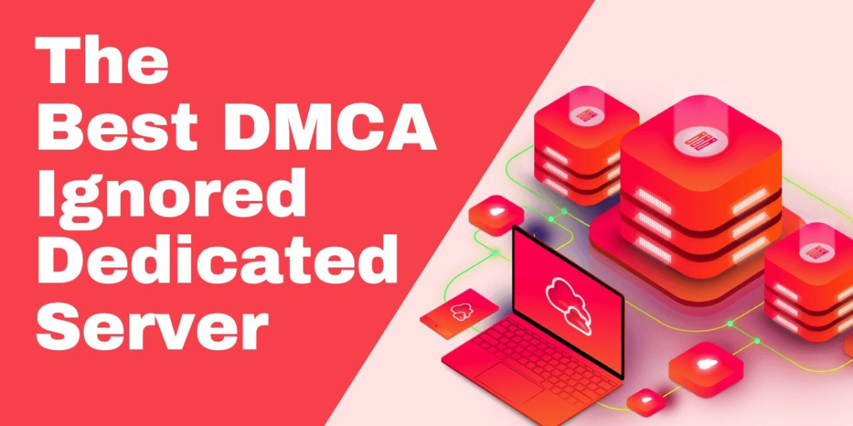 How to Find the Best DMCA Ignored Hosting for Your Content