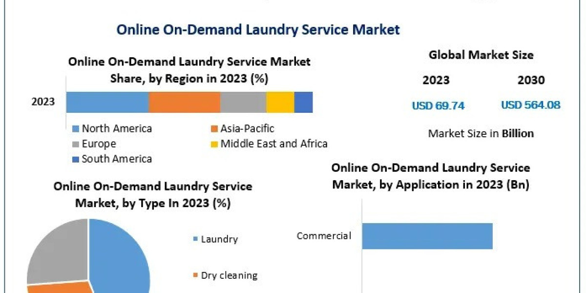 From Hassle to Convenience: Innovations in the Online On-demand Laundry Market