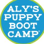 alyspuppybootcamp Profile Picture