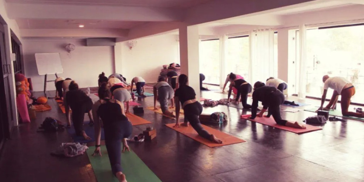 Hatha Yoga School in India: Transform Your Practice