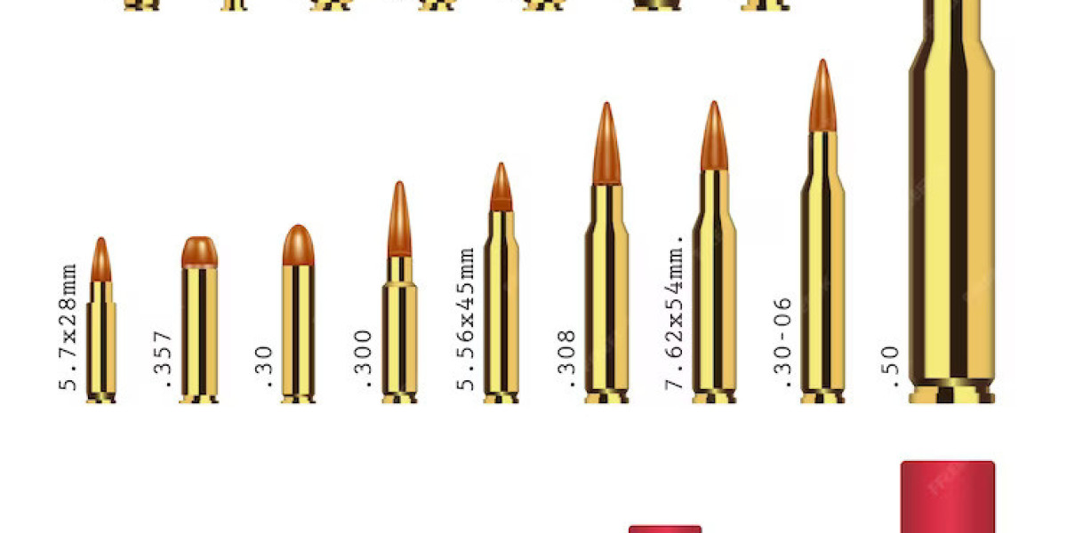 Ammunition Market Growth and Global Industry Status by  2031