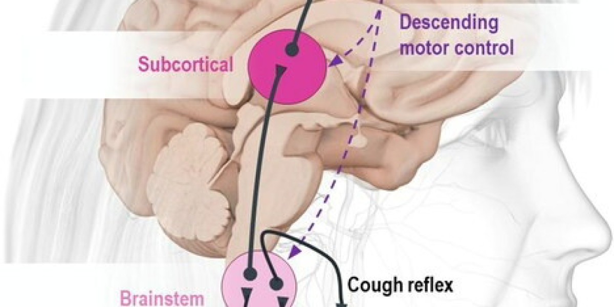 Chronic Refractory Cough Market Share Analysis, Growth, Report 2024-34