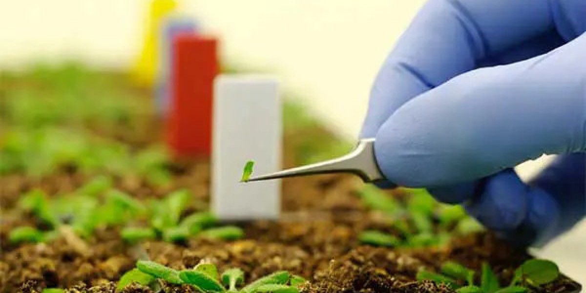 Agricultural Nanotechnology Market Size, Growth & Industry Analysis Report, 2032