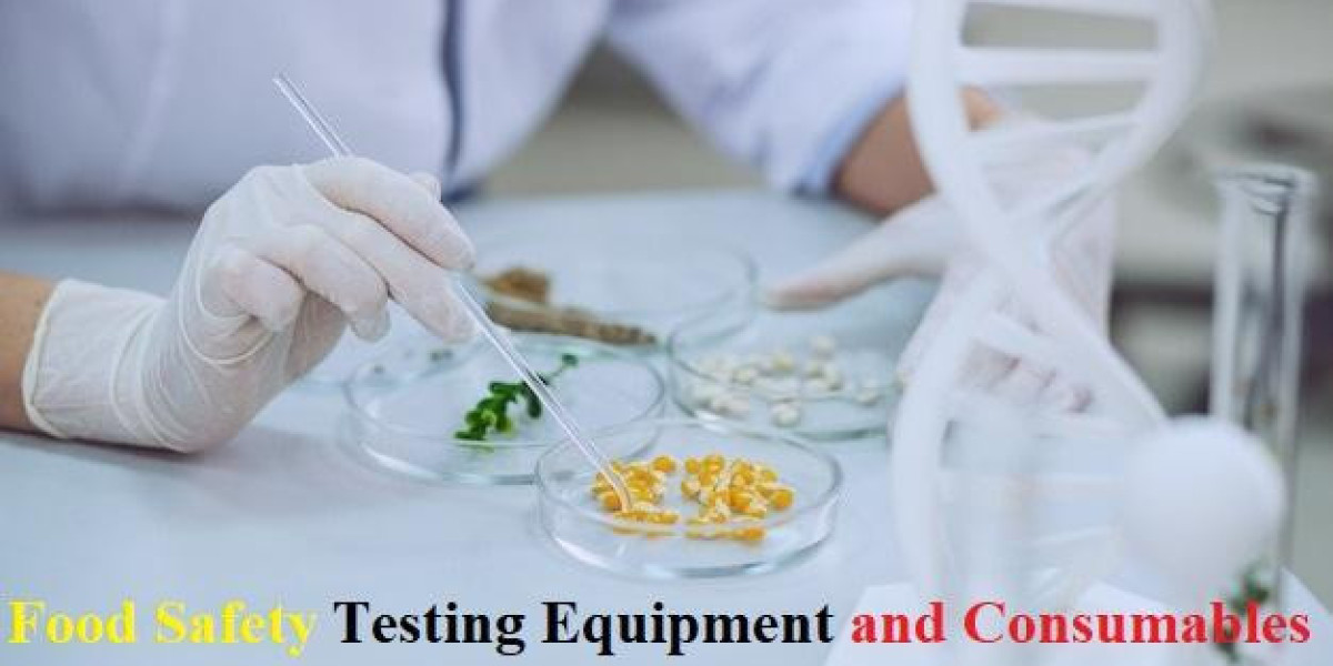 ood Safety Testing Equipment and Consumables Market Growth Accelerates with Increasing Foodborne Illness Concerns