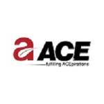 ACE Yamuna Expressway ACE Yamuna Expressway Profile Picture