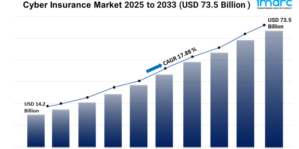 Cyber Insurance Market Size, Share, Growth, and Forecast 2025-2033