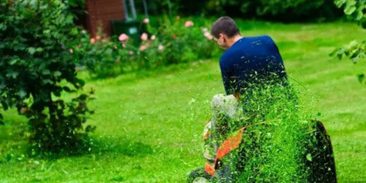 Why Your Lawn Needs Warrior Landscaping Services in Plano – And Why You Can’t Afford to Wait!