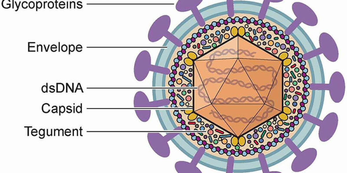 Herpes Simplex Virus (HSV) Testing Kit Market Analysis, Size, Share, Growth, Trends, and Forecasts by 2031