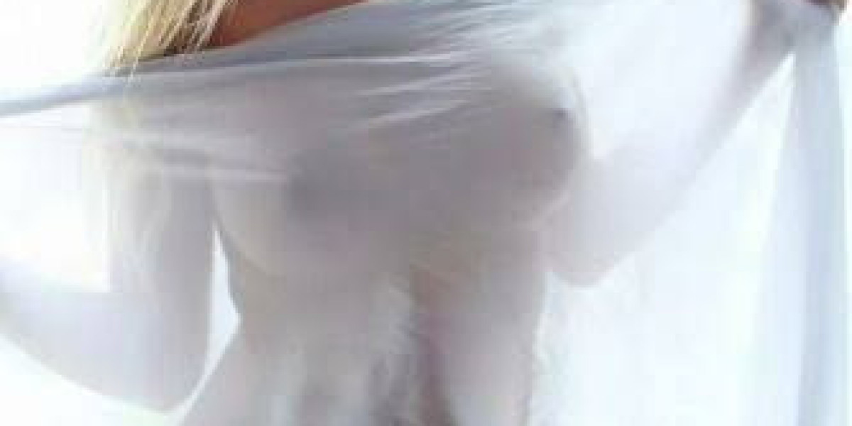 Udaipur call girls