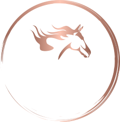 Reliable Waste Removal & Garage Cleanout Services - AZ Waste Wagon LLC