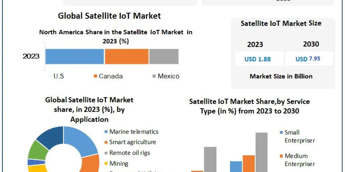 Satellite IoT Market Business Share, Size, New Opportunities and Forecast 2030