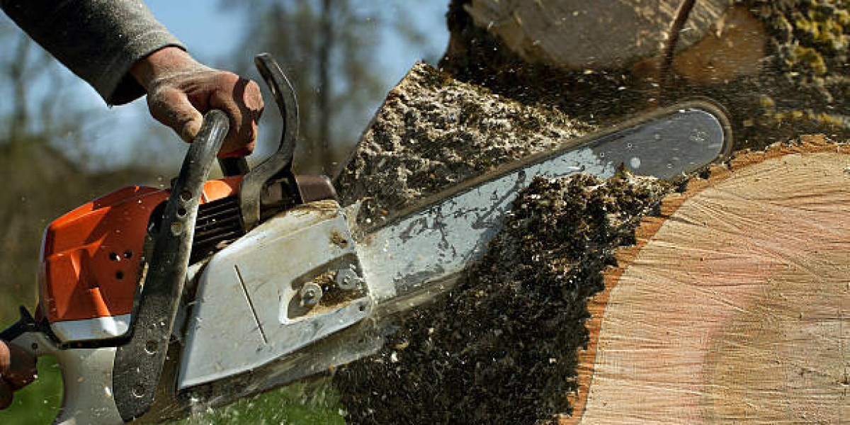 Tree Cutting Service: Why It’s Essential for Property Maintenance