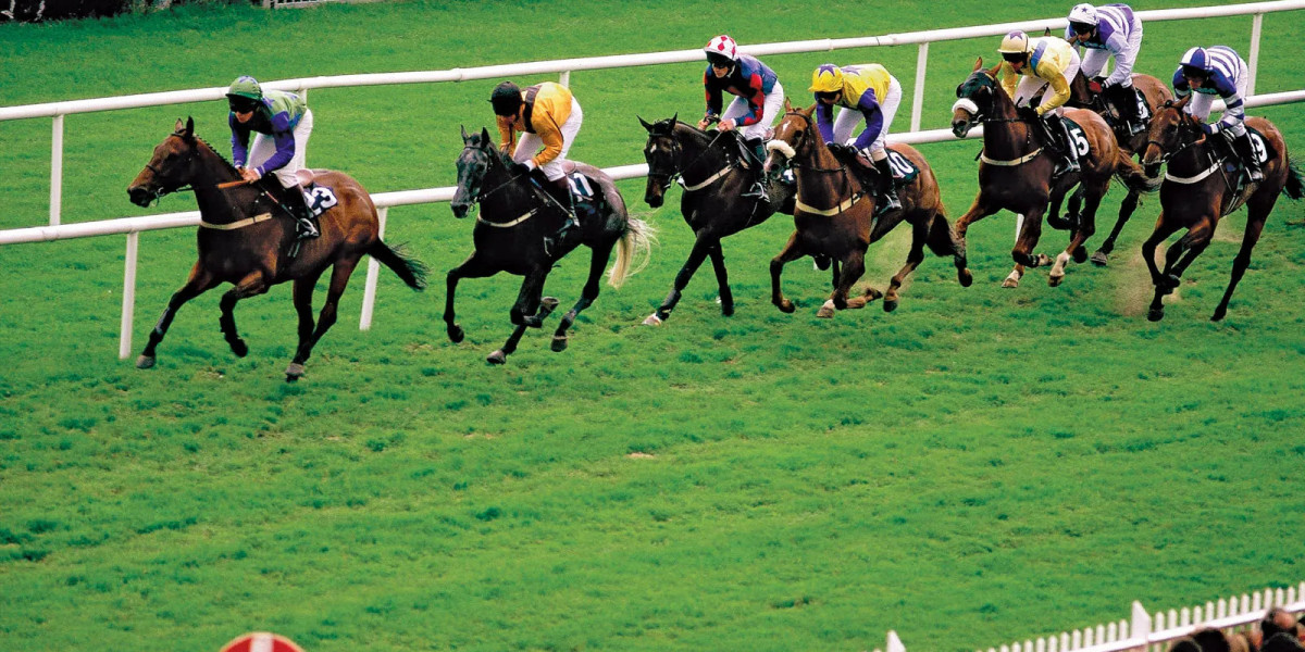 Horse Racing Market 2023-2032 | Global Industry Research Report By Value Market Research