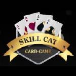 skillcatgame Profile Picture