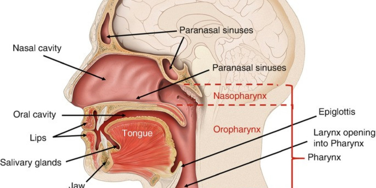 Head and Neck Cancer Market Share, Growth, Industry Report 2024-34