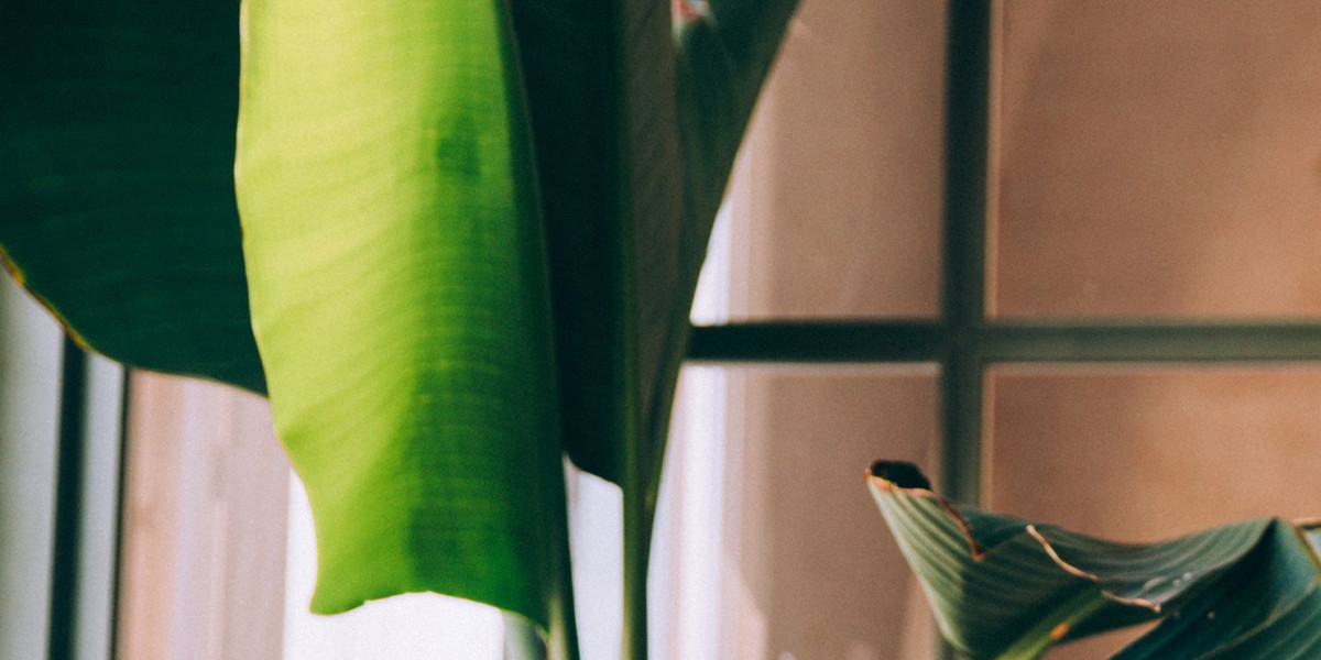 VPN 大陆之旅：是时候掌握网络自由了吗？