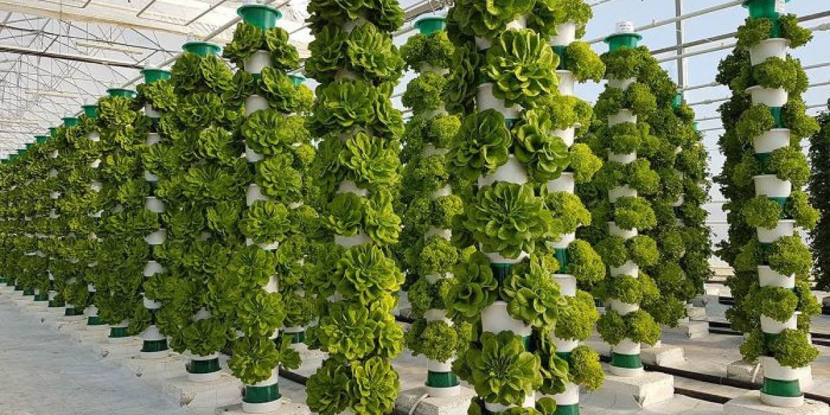 Vertical Farming Market by Platform, Type, Technology and End User Industry Statistics, Scope, Demand with Forecast  203