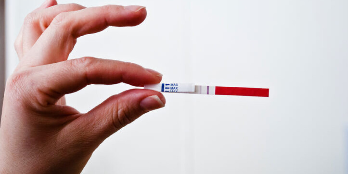 Paper Diagnostics Market Factors: Expansion in Rural Healthcare and Developing Regions