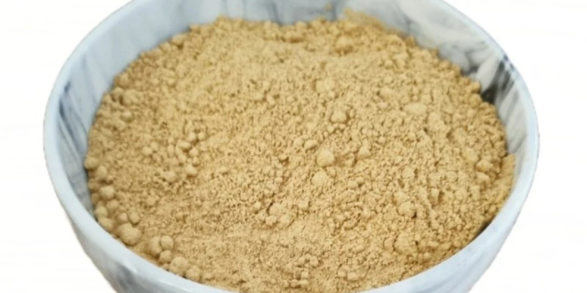 Everything You Need to Know About Amanita Muscaria Powder in the UK