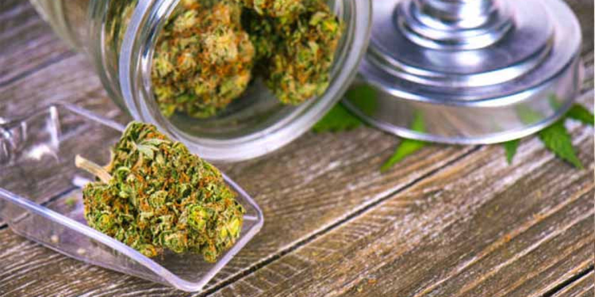 Everything You Need to Know About Weed Seeds: A Beginner’s Guide