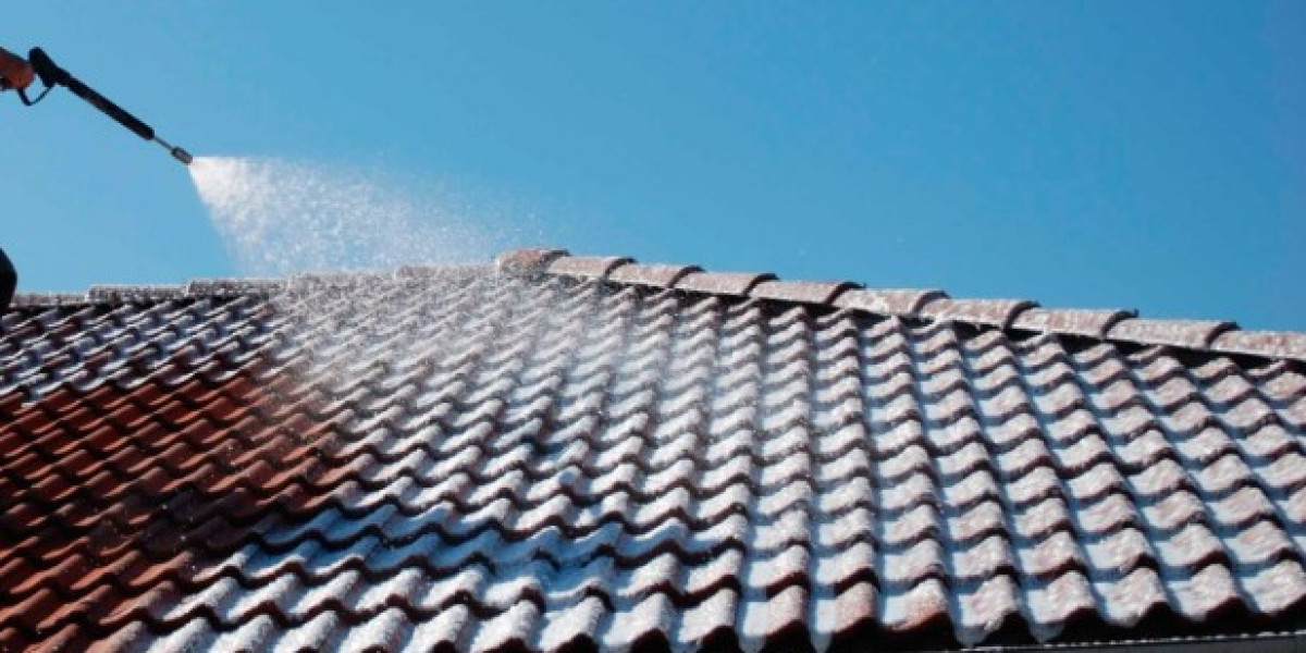 The Importance of Roof Soft Washing and Commercial Power Washing in Hilton Head and Beaufort, SC