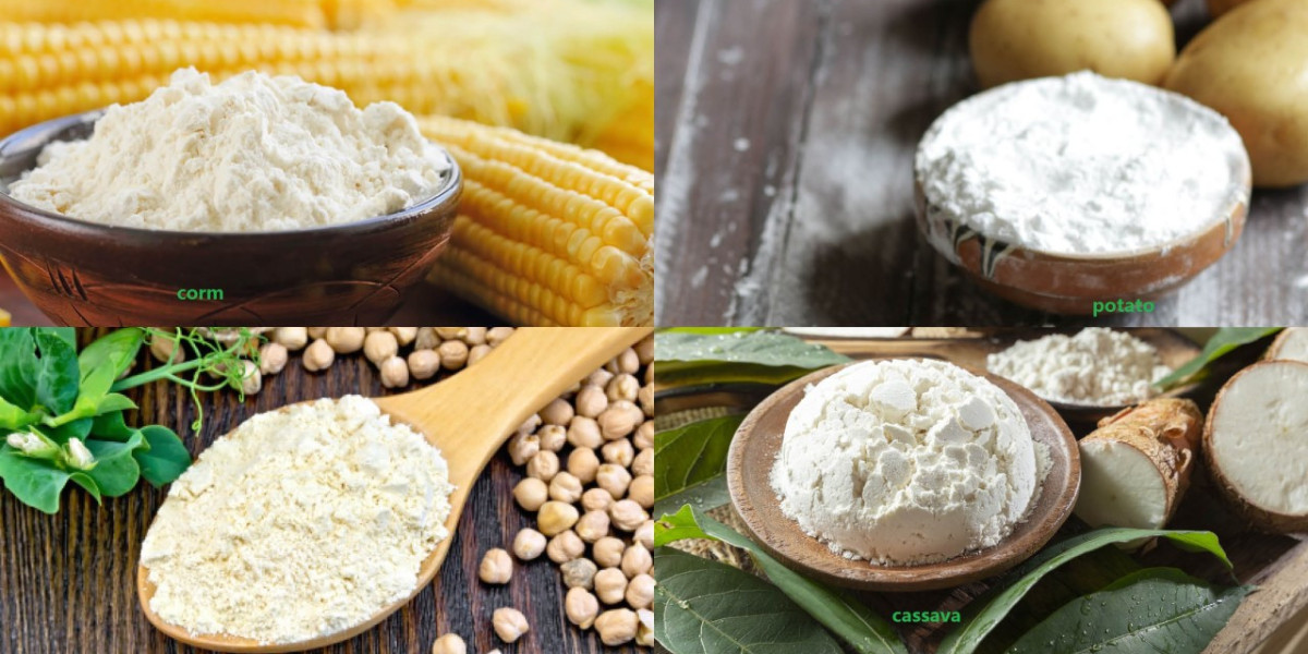 Modified Starch Market Trends Shift as Consumers Seek Plant-Based and Organic Options