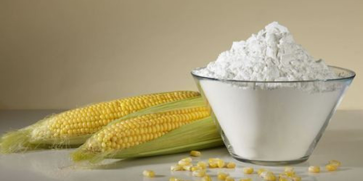 Maize Starch Manufacturing Plant Project Report 2024: Raw Materials, Investment Opportunities, Cost and Revenue