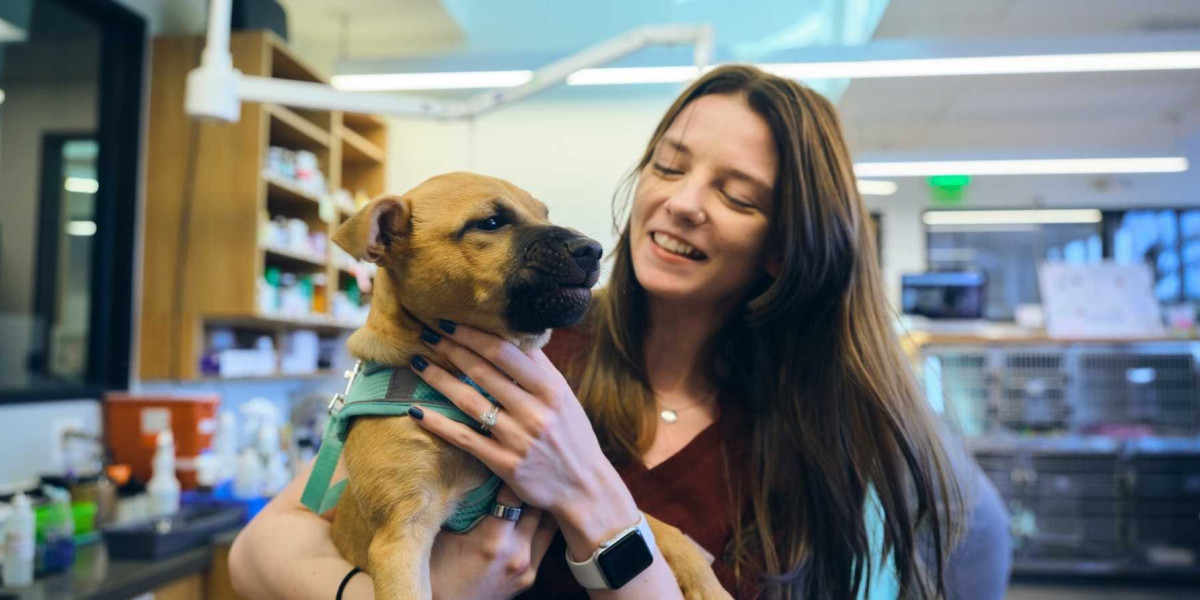 Canada Animal Healthcare Market Size, Share, Trend, Forecasts to 2033